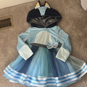 3-4T Bluey costume